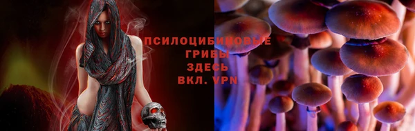 эйфоретик Алексеевка